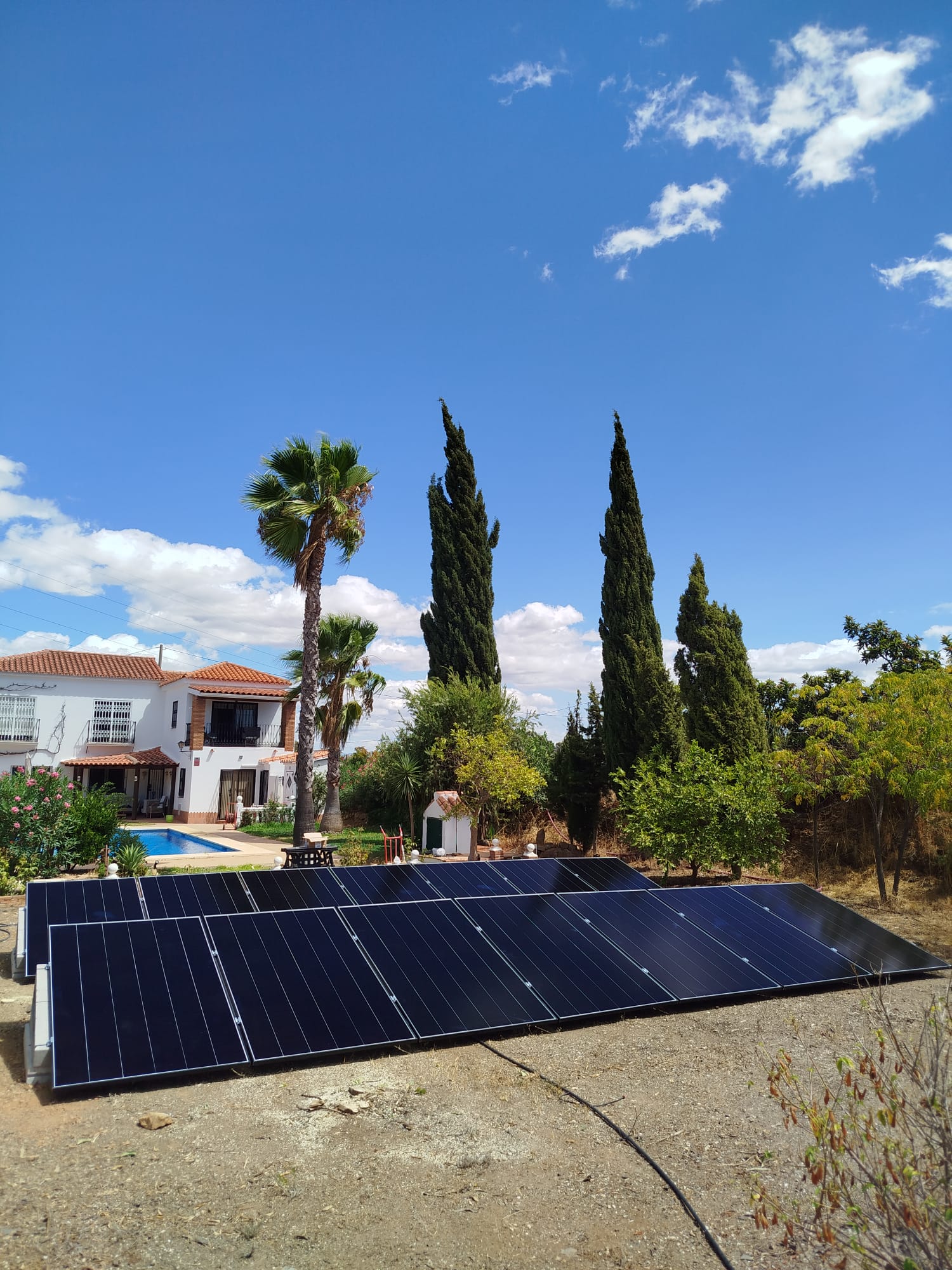 Estructura en suelo entre palmeras en Marbella