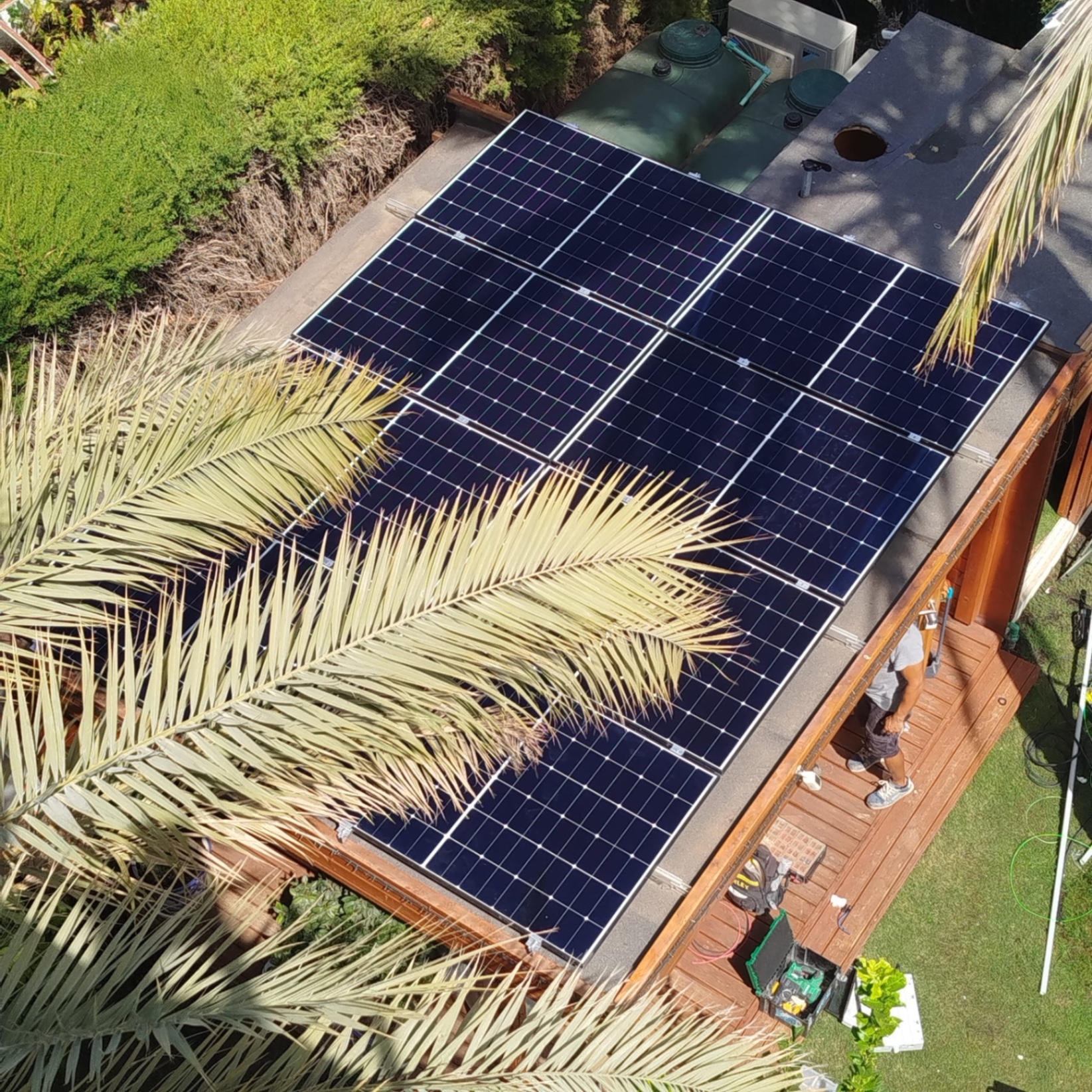 Palm fronds casting shade over a solar array, the reason for extra optimisers